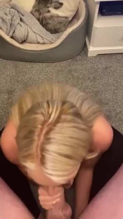 Elle Brooke Blowjob