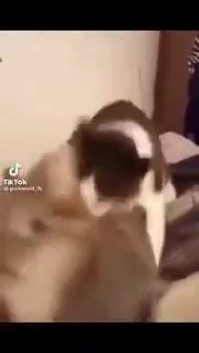 Nani Oni Chan?