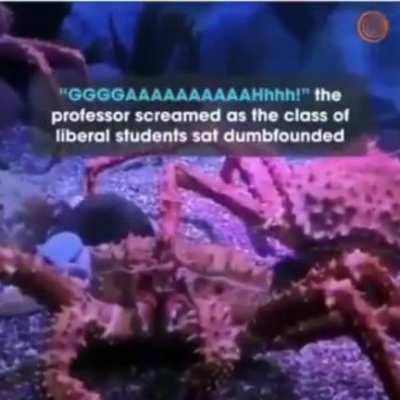 Libs = owned