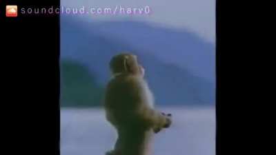 Monke song