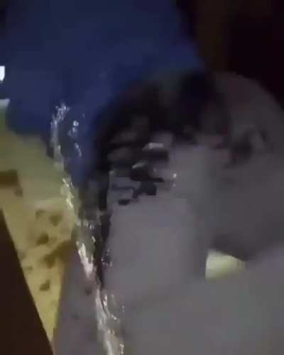 Cagaste weon