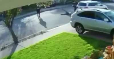 Guy pulls out a gun then somehow gets bodyslammed