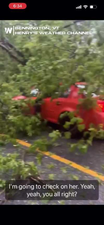 Watch out for the twig in the road