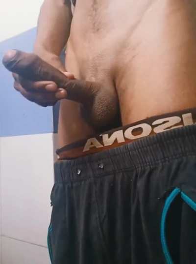 Indian Fat cock