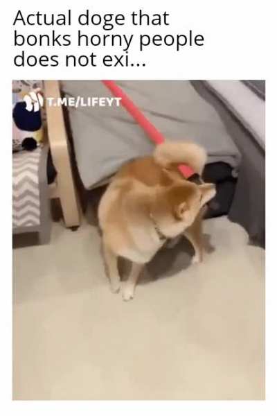 Go to horny jail