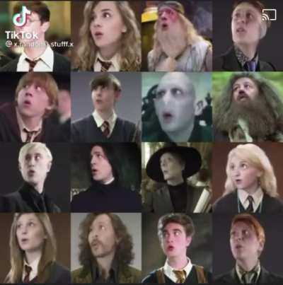 Suddenly I am an even bigger Harry Potter fan