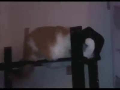 Human has given 10110010001100 clothing, we are grateful for the gift. Initiating scan of human.