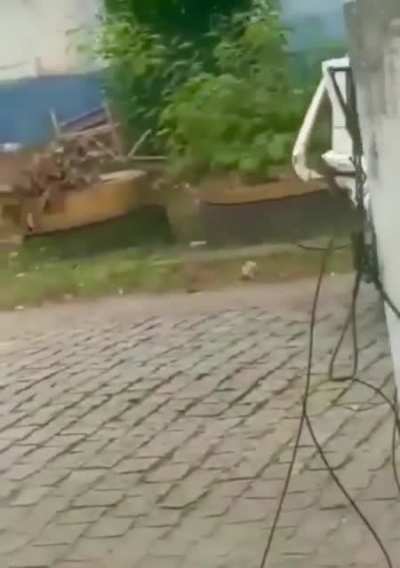 Nice ar