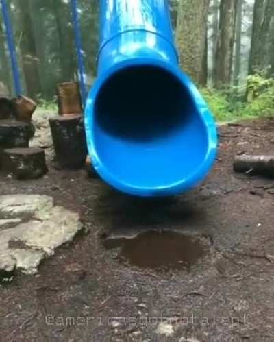 Sorry if this is a repost