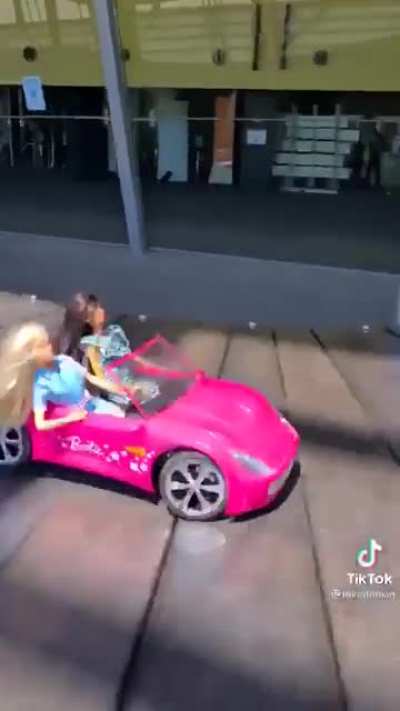 Fast and Furious: The Fate of the Pink