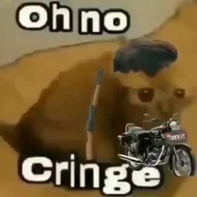Cringe polis