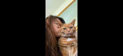 Stahp. Staaahp. Staaaaaa