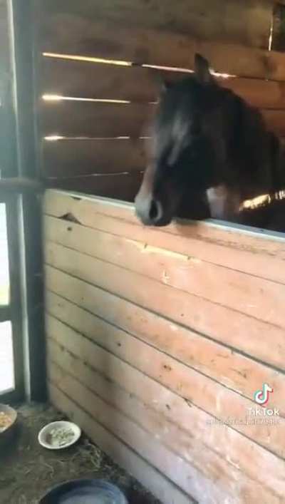 He was just horsing around