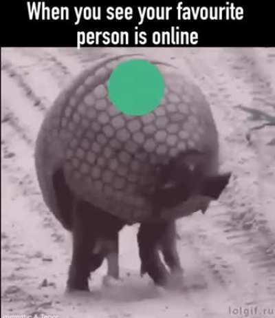 Me when she comes online