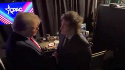 Que grande el peluca