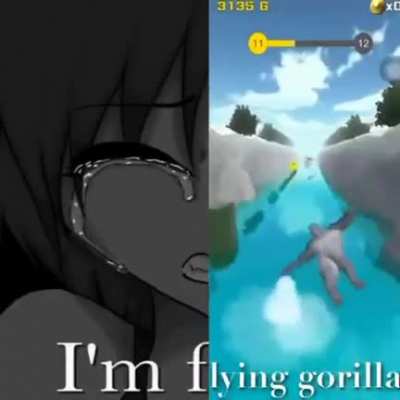 flying gorilla