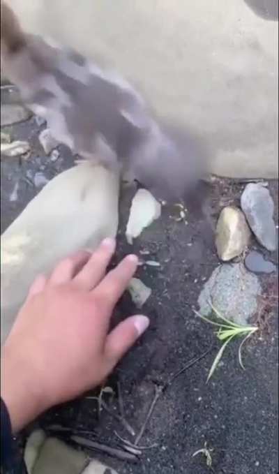 Must leave!