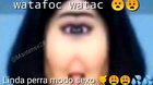 JODER QUIERO FOLLARME A LINDA PERRA 😩 ya no lo aguanto más cada vez que veo sus tiktok me masturbo 15 veces al día y me corro en mi celular me la quiero follar joder hoy me encontré un bote de cocacola y le metí el pito pensando que era la concha d