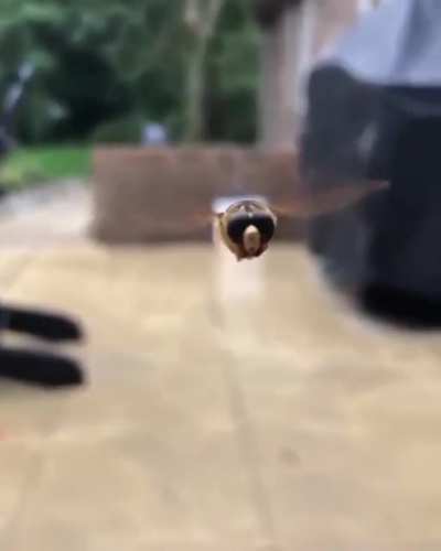 AAAAAAAAAAAA
