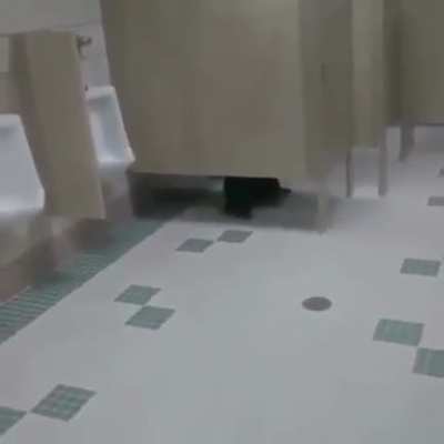 poopy butt
