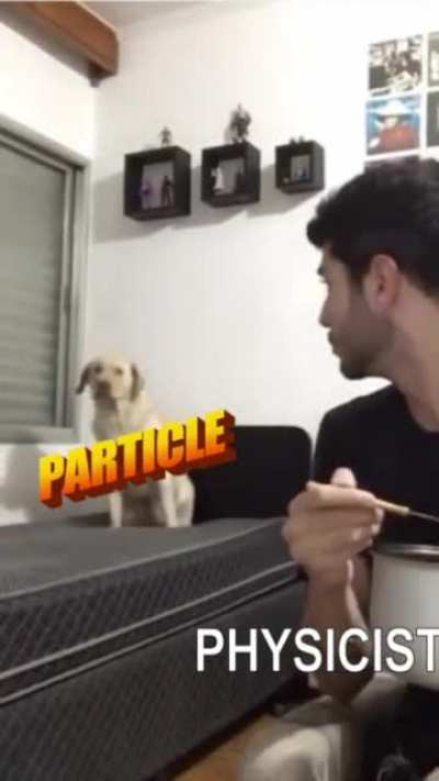 PewDiePie talked about multiverse stuff in his recent video and I found this meme on his Reddit