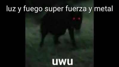 Que comienze la batalla 😎