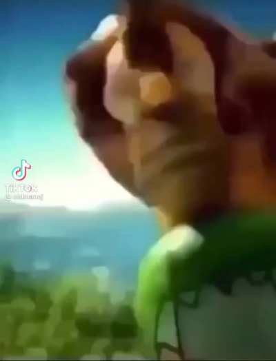 homie