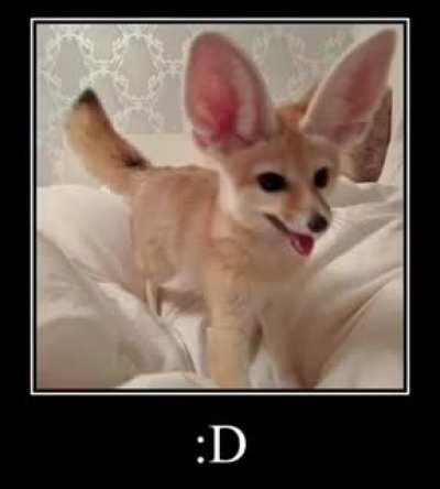 Gotcha