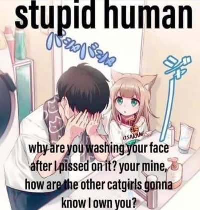 🧼 🐱