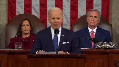 Biden Strokin