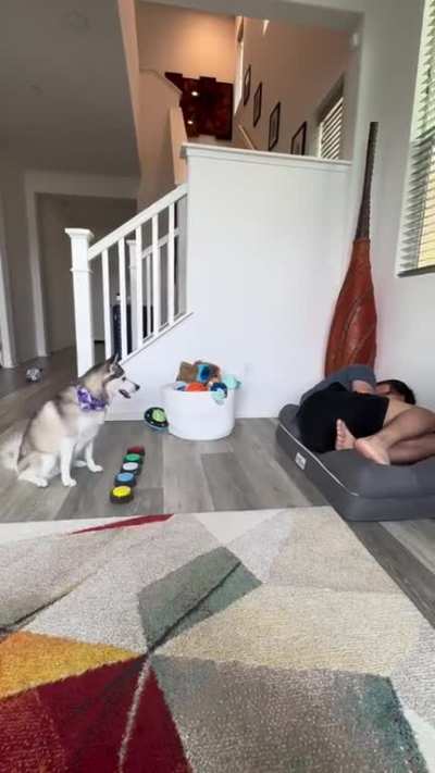 What Are You Doing?