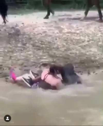 Poor horse