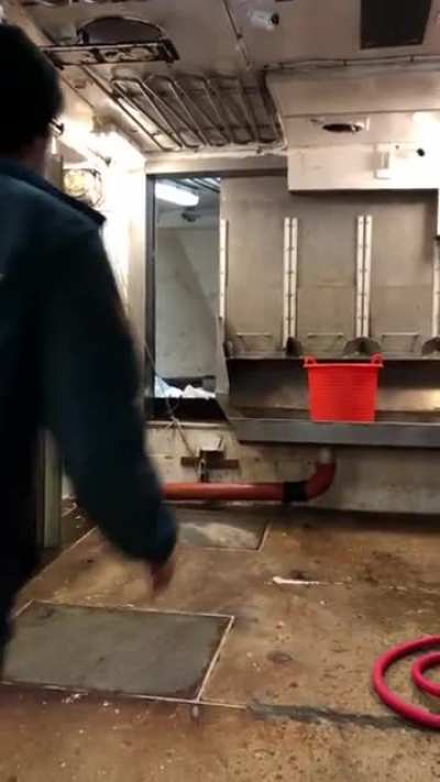 Jumping on a ship that's going over large waves