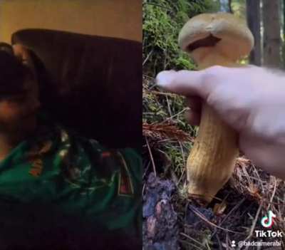 Fungi