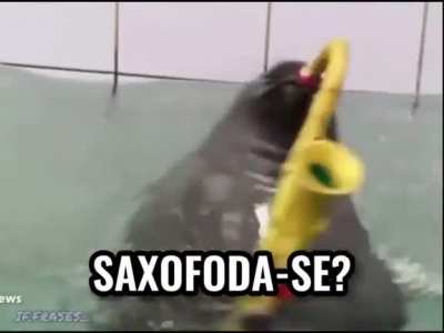 Do nada meti essa?