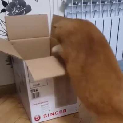 Help I’m stuck.