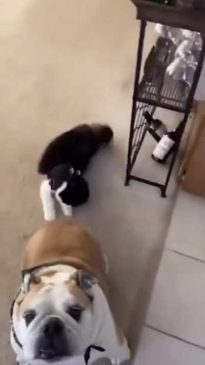 DeMOn GeTS ELeCTRiFiED By aN anciEnT rItUAl FOR the diSTrUction oF mANKiND