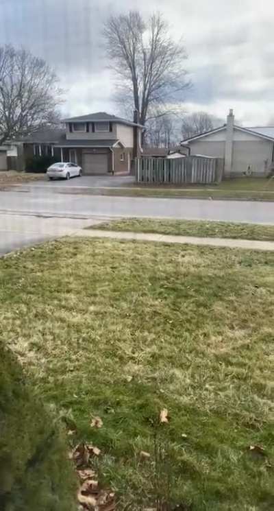 What my brother woke up to this morning (sound on).