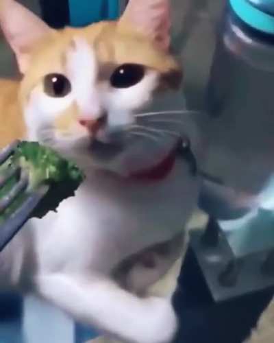Нужен звук