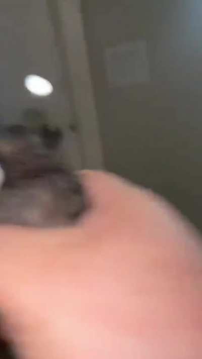 Ave.mp4