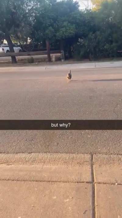 But, why ?...