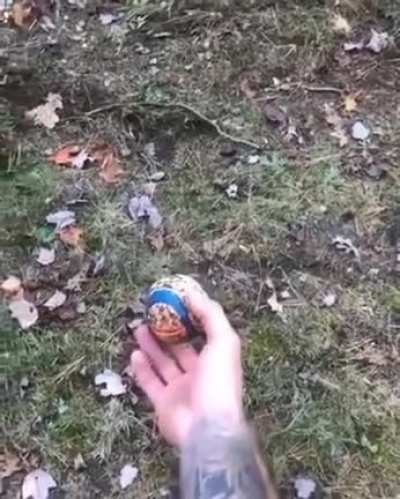 Вжух!