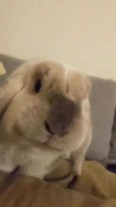 Nanners