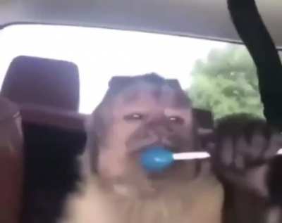 🤑🤑POV: Tener 786.973 bolívares 🤑🤑 messobra
