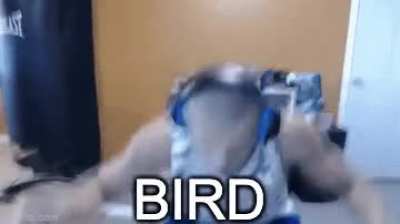 Haha you see his arms are like wings