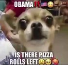 Yesssss pizza time