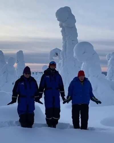 To keep warm during the filming of The Green Planet, Sir David Attenborough and the producers would do a little penguin dance.