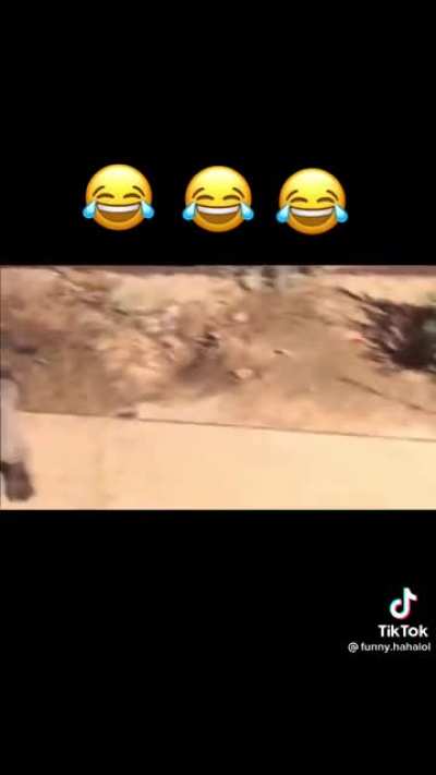 Freeze