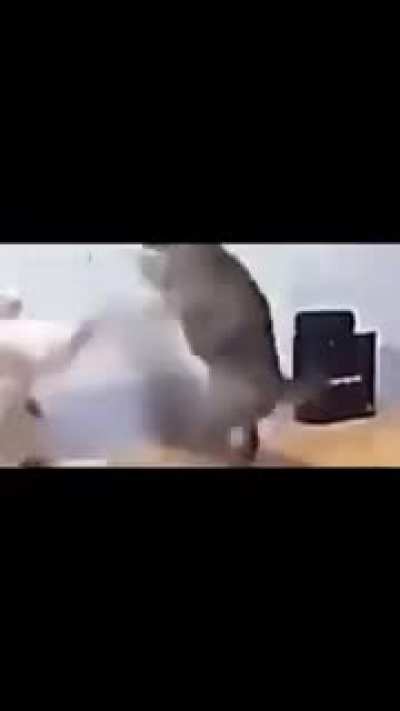 Eeeeeeeeeeeeeeeeeee