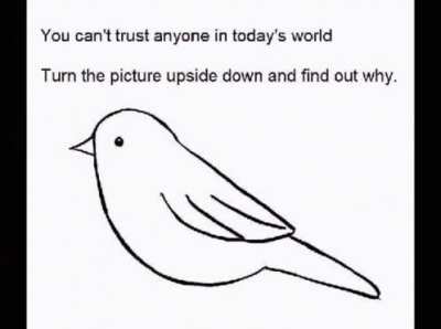 You just need to trust me